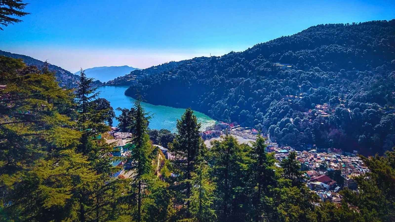 book resort in nainital
